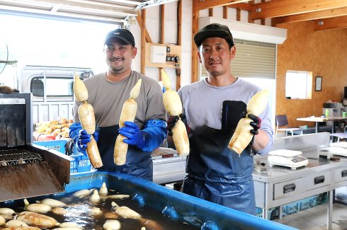 太助レンコン園×Nine'sFarm　JAなめがたしおさい れんこん部会